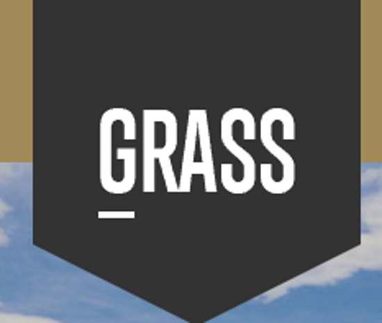 Grass life online dispensary logo