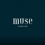 Muse cannabis store logo